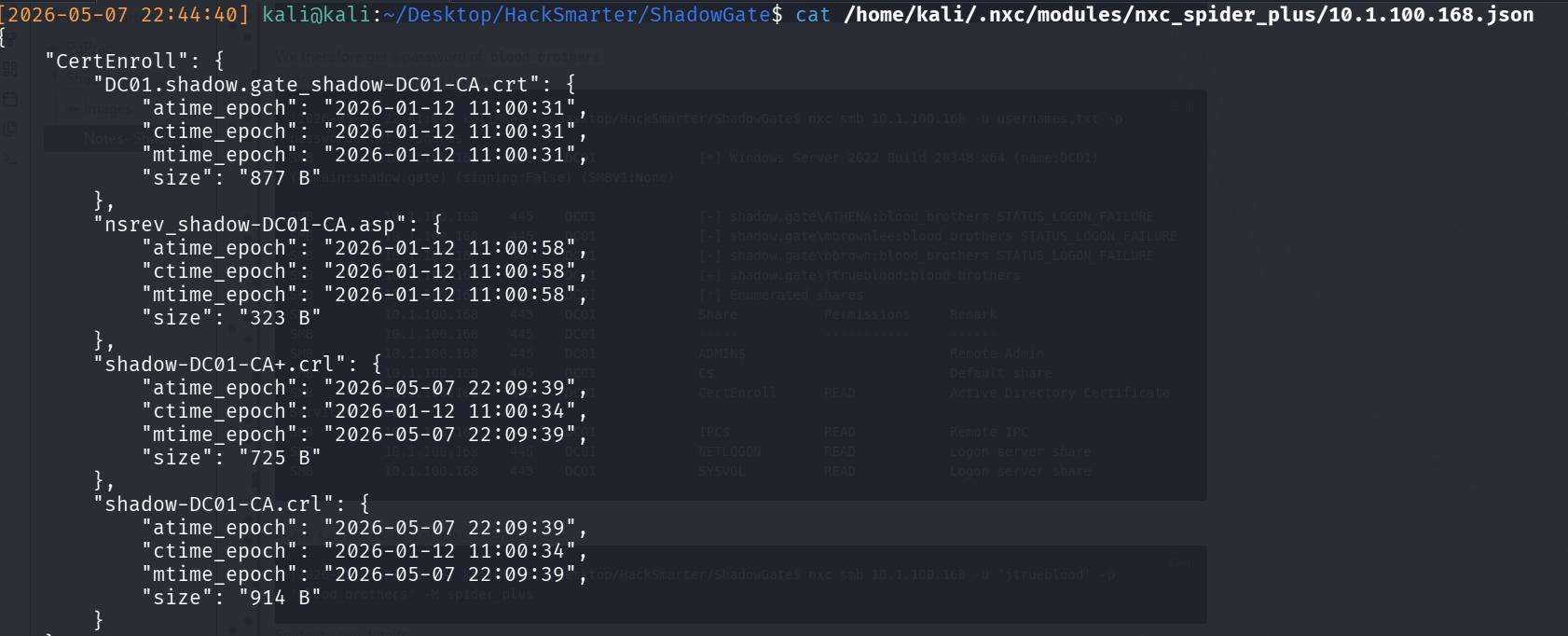 Share contains DC Certs