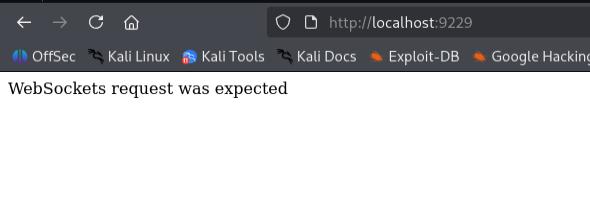 Expected WebSockets