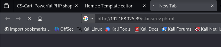 Reverse shell visiting